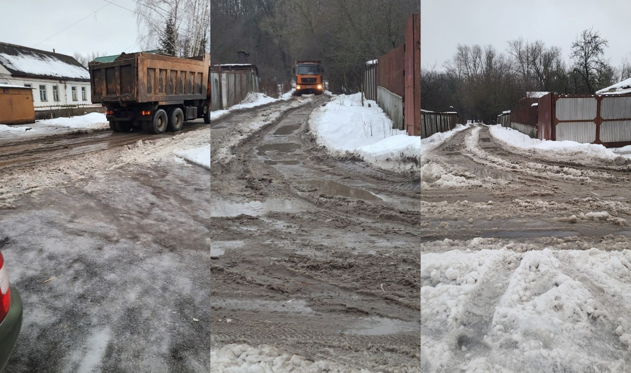 На конеферме «Мираторга» в 2025 году родилось более 50 жеребят На конеферме «Мираторга» в 2025 году родилось более 50 жеребят