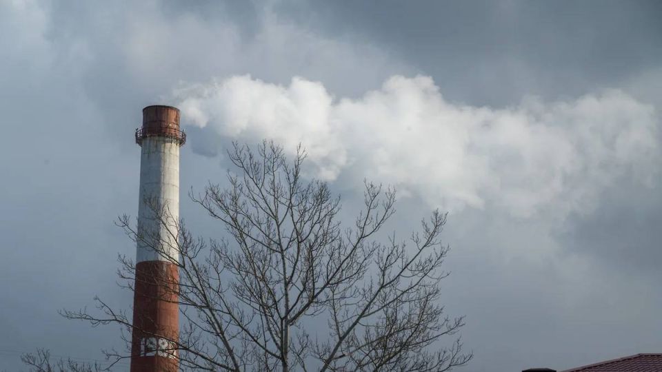 � ������ ������ ��������������� ���������� �� 1,3 ���� ������