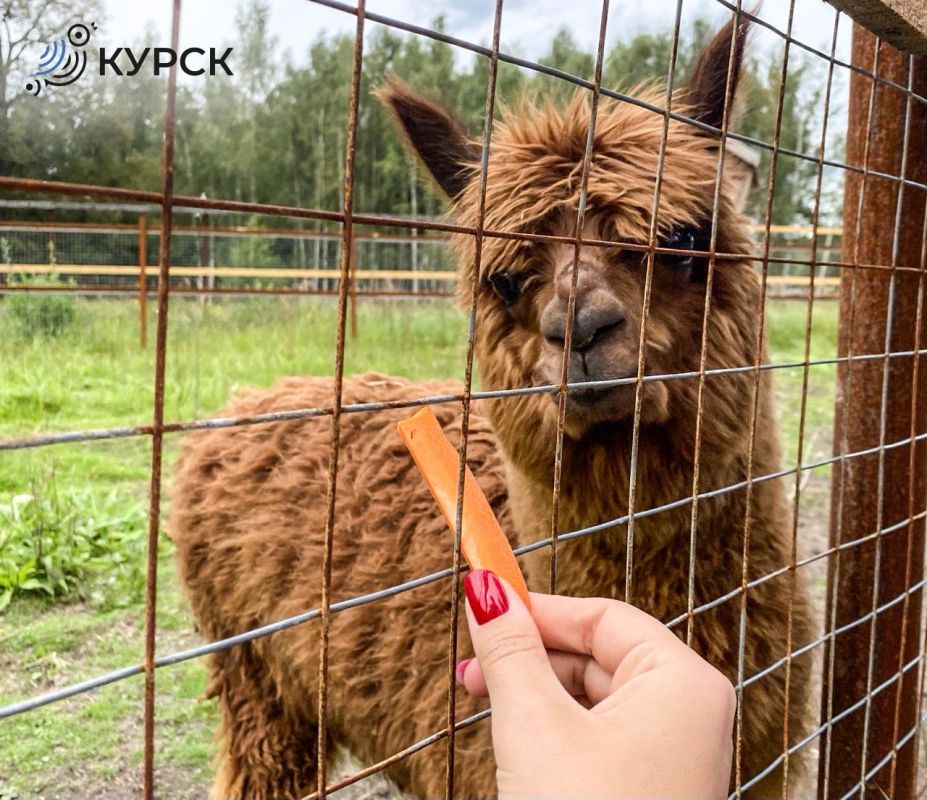 �������� ����� ������ ���������������� �������� ����� �� ������ ������