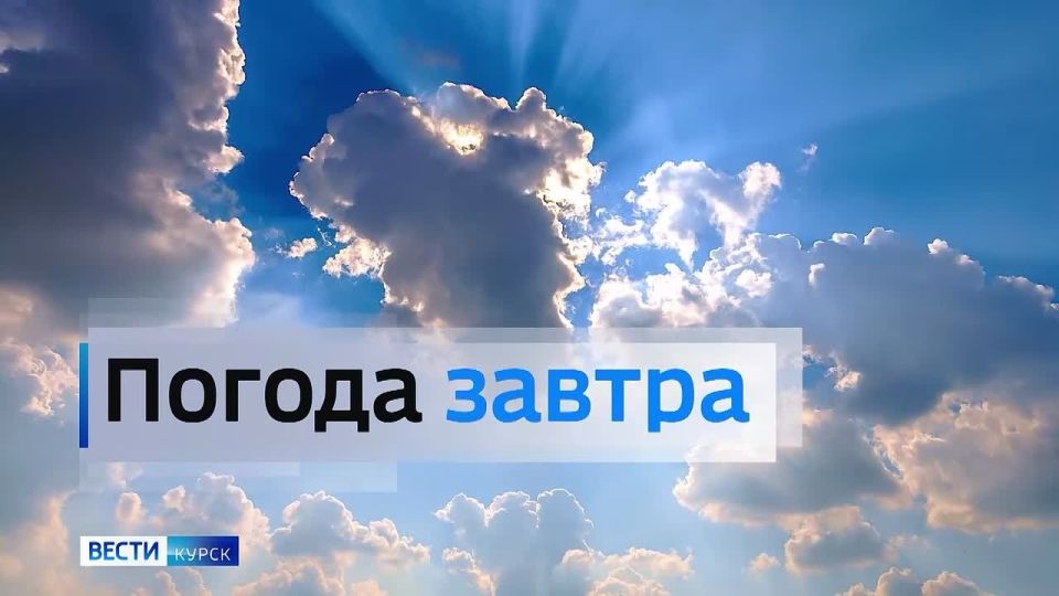 �� 15 ������. ����� ������ | �������� | MAX