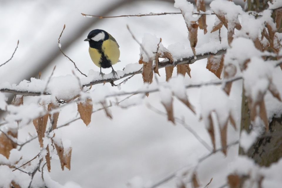 ������ ����!. ������� ��������, ���� -13�C, � �������� ��� �������, ����� -16�C