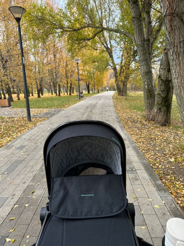 � ������� ������� �� ���������� �������� ���������������� �������� ����� ��� �����