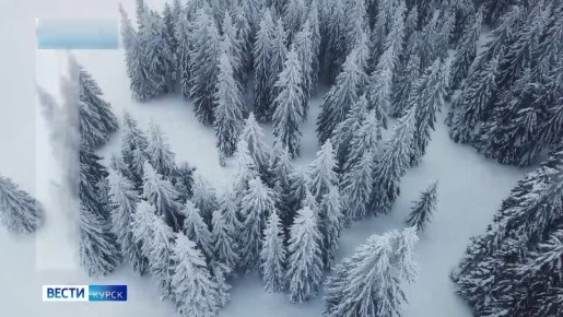 �� 16 ������. ����� ������ | �������� | MAX