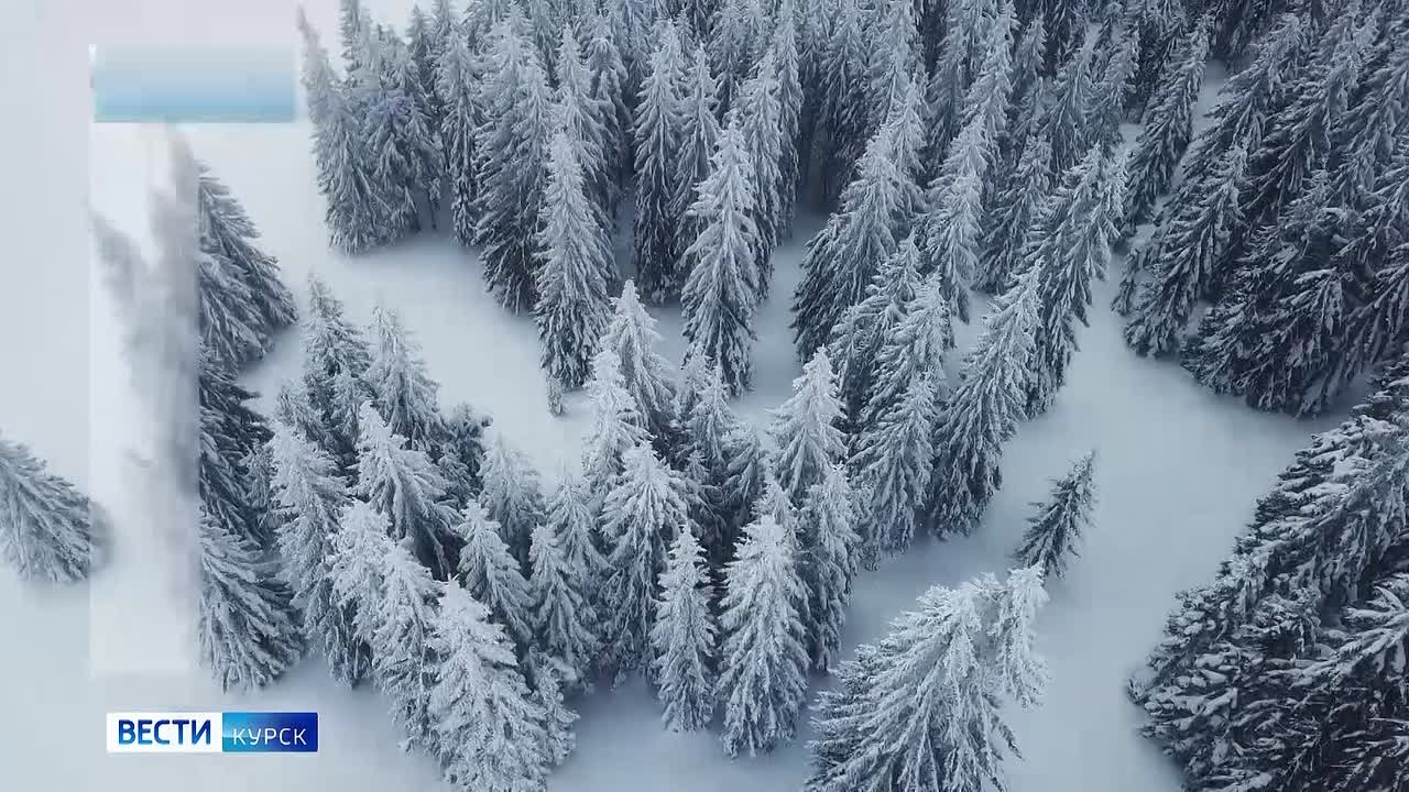 на 16 января. ВЕСТИ Читать | Прислать | MAX