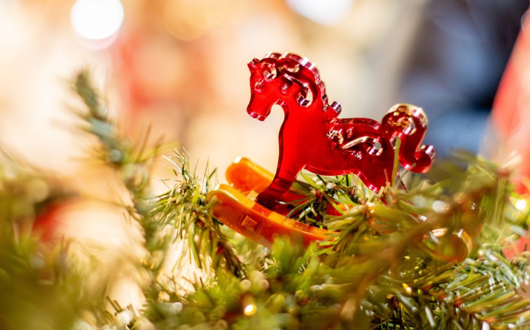 Как посетить экватор, не выходя из дома ? Как будто идея лишена смысла, но это как посмотреть Как посетить экватор, не выходя из дома ? Как будто идея лишена смысла, но это как посмотреть