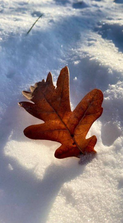 Как посетить экватор, не выходя из дома ? Как будто идея лишена смысла, но это как посмотреть