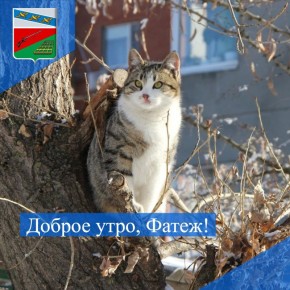 ������ ����. ����� ���� ������� �������� ��� ����� ������� � �����������