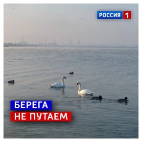 16 ������, �������. ���, �� ���������� �� ����