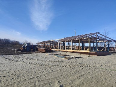 Еще один парк альпак уже строится в Курской области