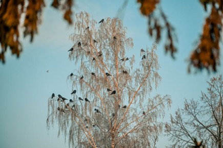 �� 24 �������� ������ ��������� � ������� ������� �� ��������