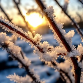 Доброе утро!. Прогноз на сегодня: малооблачно, днём -10°C, осадков не ожидается, ночью -12°C