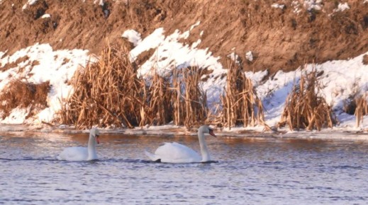 � ������� ������� �������� ����� ������ �����-2026�