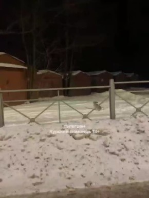 ����� ������ ��������� ������� �� ����