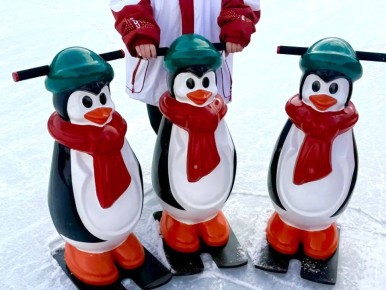 Курян приглашают на фестиваль «Губернаторские ёлки-2026»