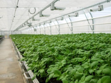 �� �������� AGRAVIA ��������� ������� ���������� ������ ��������� ����������� ��������