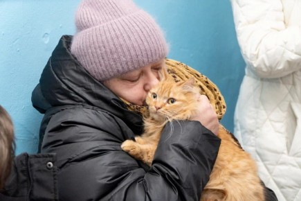 � ������� � ������� ����� �������