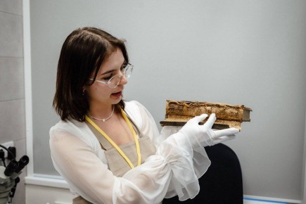 В Курске открыли лабораторию библиотечной алхимии - именно так назвал Александр Хинштейн открывшийся в Курске Центр консервации и реставрации книг