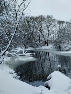 Доброе утро!. Сегодня, в среду, 21 января, по прогнозу регионального отделения МЧС, в Курской области облачно, ночью с прояснениями