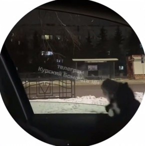 � ������ ����������� ���������� �� ��������� �� ������ �� ��������� �������� �����