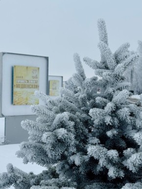 Друзья, успейте насладиться красотой зимней природы