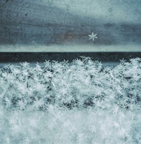 ��������� ������������� � ���, ��� � ����� ������ �� ����������� ������ ����� ���������� ����� ������� � ������ ���� ���� ������