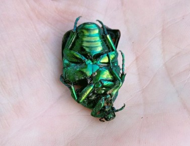 ��������� ������� � ������� ������ �������� � ������� �������