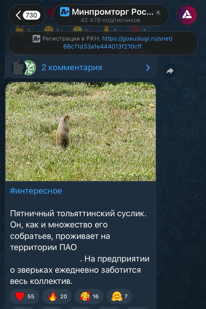 Почему суслик попал в официальный паблик федерального министерства, каков образ у отечественной промышленности и можно ли его сформировать с помощью СМИ и соцсетей Почему суслик попал в официальный паблик федерального министерства, каков образ у отечественной промышленности и можно ли его сформировать с помощью СМИ и соцсетей