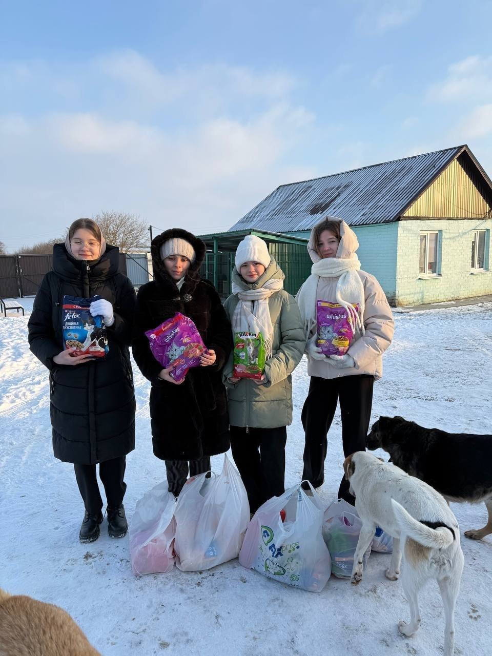 Активисты первичного отделения Движения Первых Гончаровской школы посетили приют для животных "Право жить | Курск | Помощь животным"