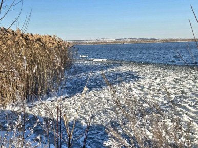 ������ ����� ����� �� ���� �������� ������: ��������� �����������