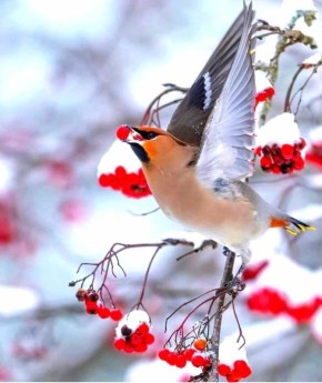 ������ ����, ������!. ������� ���� 8-13� ������