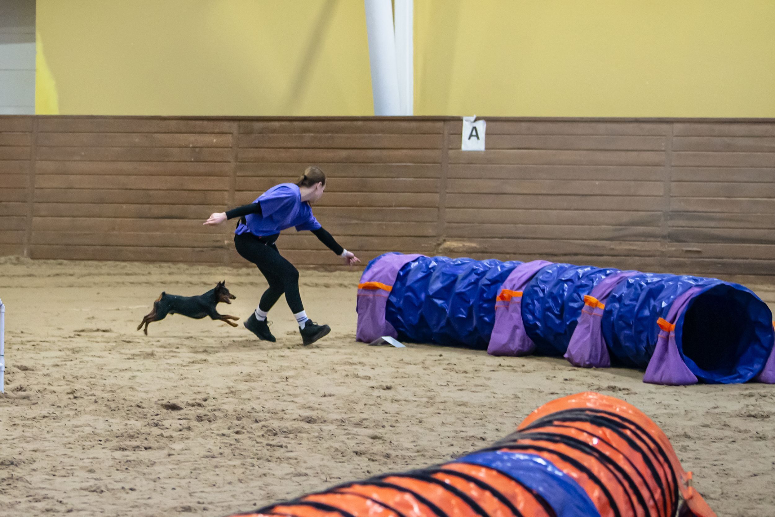 ПОБЕДИТЕЛИ КУБКА ПО КИНОЛОГИЧЕСКОМУ СПОРТУ ПОБЕДИТЕЛИ КУБКА ПО КИНОЛОГИЧЕСКОМУ СПОРТУ