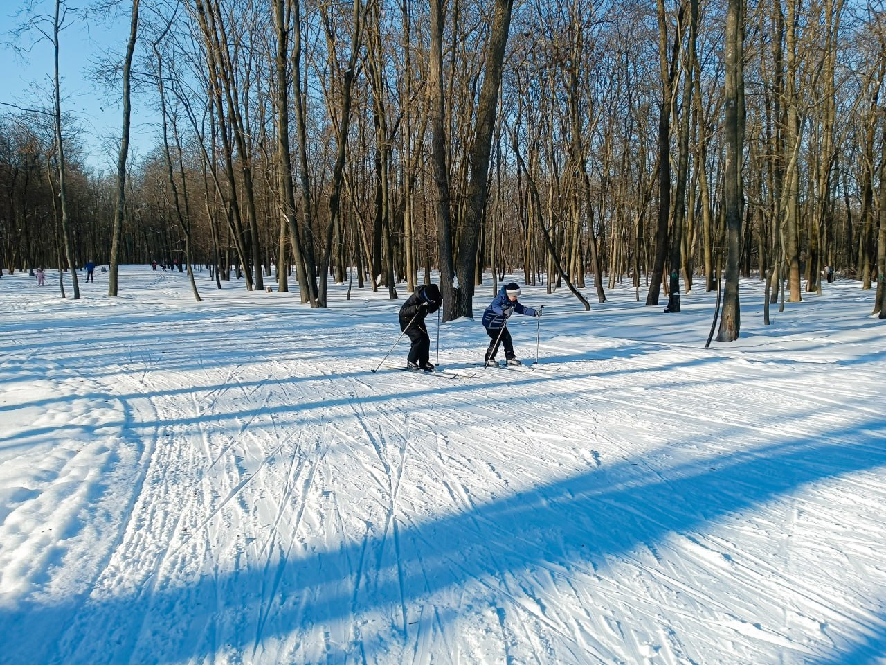Более 200 педагогов вышли на лыжню в урочище Парк Солянка Более 200 педагогов вышли на лыжню в урочище Парк Солянка