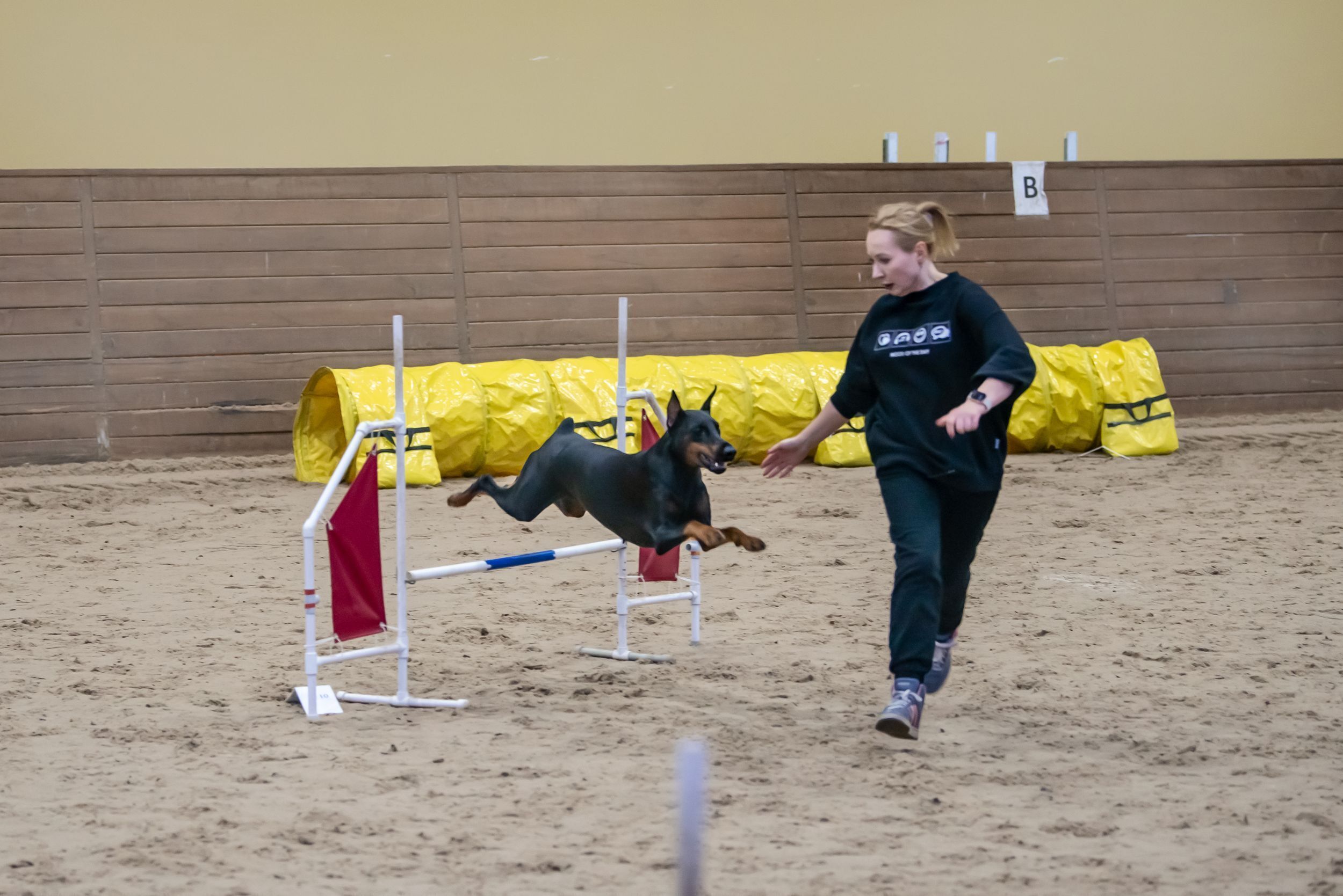 ПОБЕДИТЕЛИ КУБКА ПО КИНОЛОГИЧЕСКОМУ СПОРТУ ПОБЕДИТЕЛИ КУБКА ПО КИНОЛОГИЧЕСКОМУ СПОРТУ