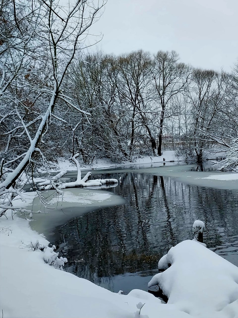 Доброе утро!. Сегодня, в пятницу, 23 января, по прогнозу регионального отделения МЧС, в Курской области облачно с прояснениями