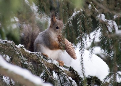 ������ ����!. ��� ������� ��������� ������