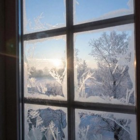 ����� ���� �������� ��������