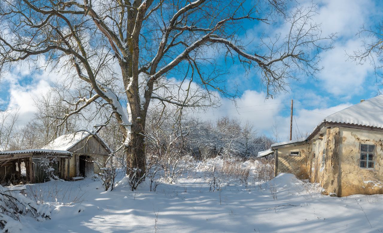 Доброе утро! Зима в деревне от Романа Игнатьева Доброе утро! Зима в деревне от Романа Игнатьева