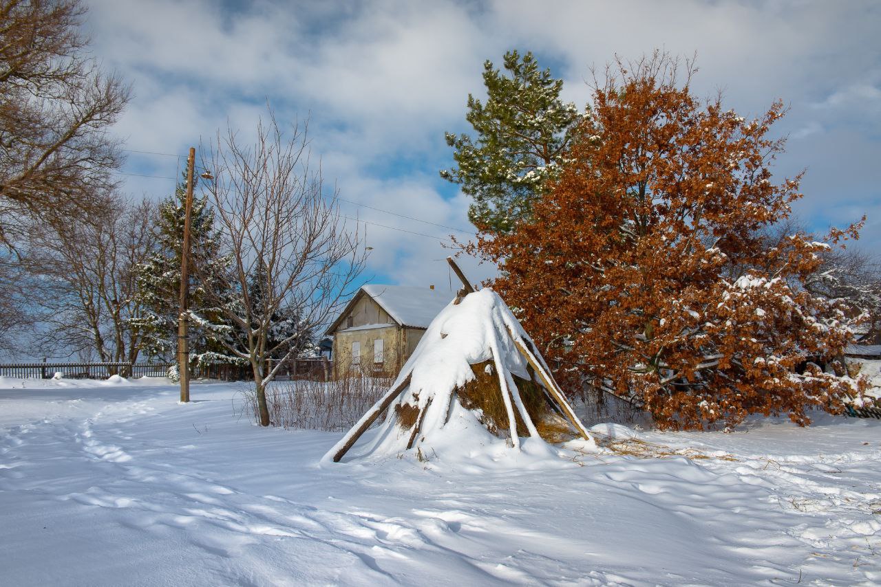 Доброе утро! Зима в деревне от Романа Игнатьева Доброе утро! Зима в деревне от Романа Игнатьева