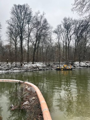 В Курске при расчистке Тускари выявили нарушения лесного законодательства