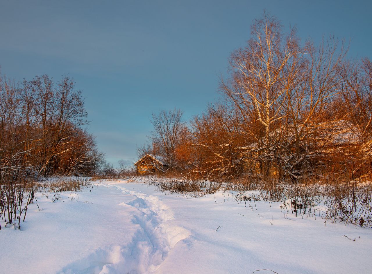 Доброе утро! Зима в деревне от Романа Игнатьева Доброе утро! Зима в деревне от Романа Игнатьева