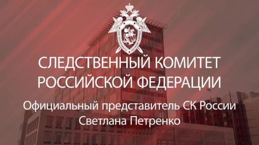 Официальный представитель СК России Светлана Петренко:
