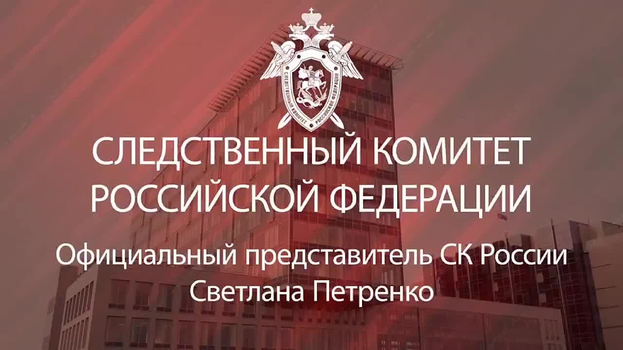 Официальный представитель СК России Светлана Петренко: