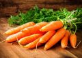 Заготовка моркови на зиму: секреты и советы