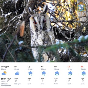 ������ ����! � �������� ������ ������ ������ �������� �������� � ���������