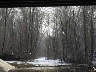 � ������ ������� ����������� ������� � ��������� ���� �������� � �������