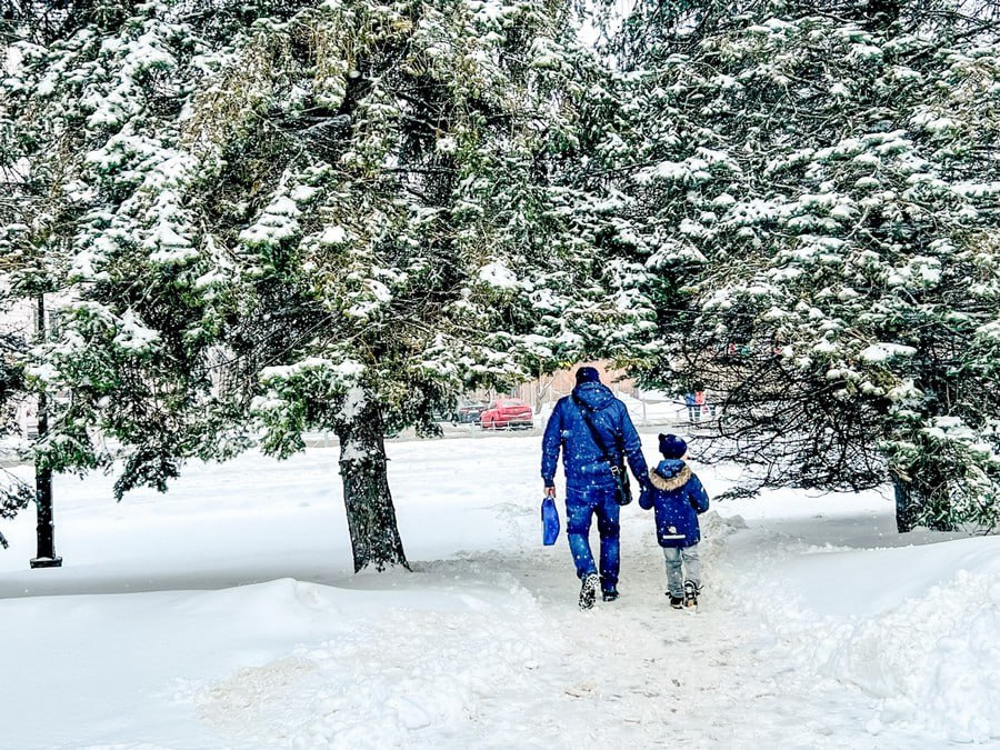 В ближайшие сутки погоду Курской области будет определять барическая ложбина с теплой воздушной массой