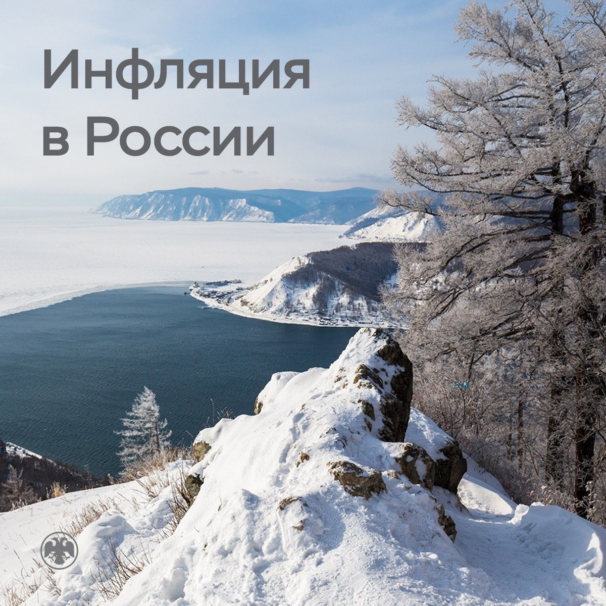 Годовая инфляция в Курской области снизилась