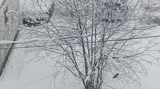 ���������� ��������������� ���������������� � 13-� ����������� �������������