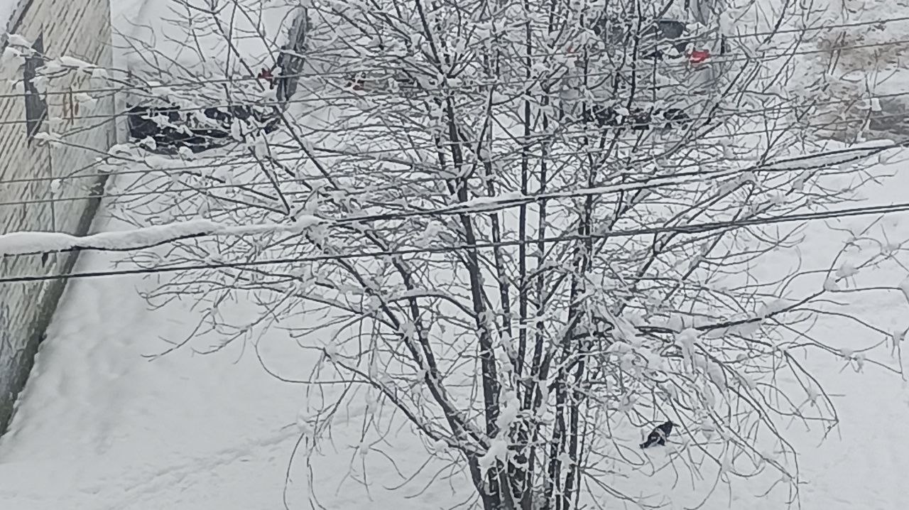 Энергетики восстанавливают электроснабжение в 13-м микрорайоне Железногорска