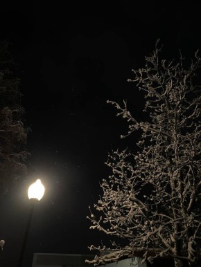 ���� � ����� ����� ��������� �������